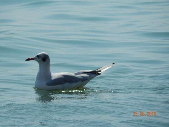 Мини-отель Mini Hotel Valeri Одесса-52